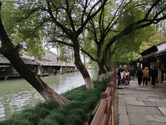 -乌镇东栅景区