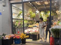 -溪岸路花鸟市场
