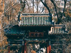 -迎泽公园
