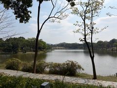-东莞植物园