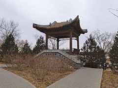 -张家湾公园