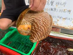 -南蚝小贝海鲜特色餐厅(南澳岛店)
