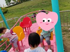 -紫颐香薰山谷景区