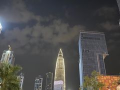 -同仁四季椰子鸡(海岸城天利店)