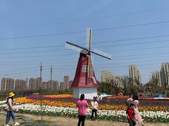 -菊园百果园