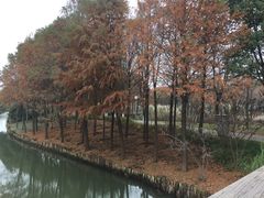 -尚贤河湿地