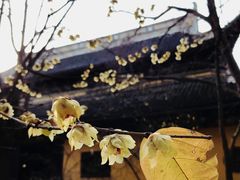 -西园戒幢律寺