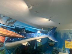 -烟台海昌鲸鲨海洋公园