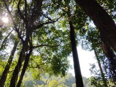 -大雁山风景区