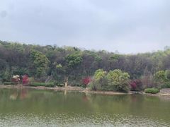 -岳麓山风景名胜区