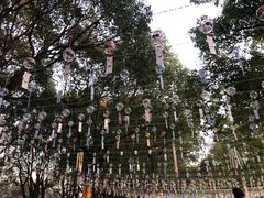 -东方绿舟景区