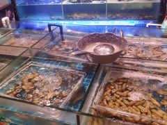 水产区-领鲜活海鲜榴莲自助火锅(东门店)