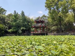 -房湖公园