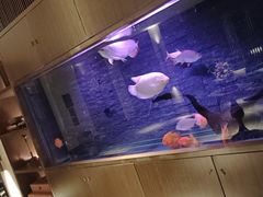 -手佳·水疗汇(嘉益店)