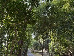 -美兰湖景区
