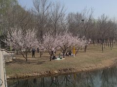 -东郊湿地公园
