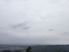 -雨花胜境