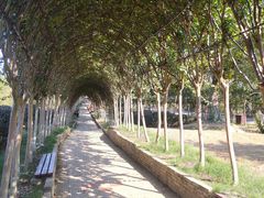 -武汉紫薇都市田园