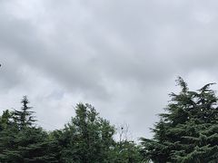 -日照海滨国家森林公园