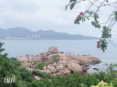 -芽庄大教堂