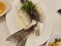 -稻香酒家·35年老字号(侨光店)