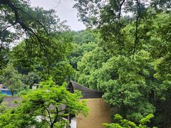 -巴倒烫陆派火锅山庄(南山总店)