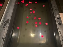 -三亚太阳湾柏悦酒店