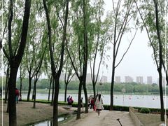 -森林公园(尖草坪区)