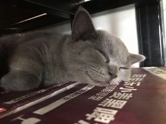 -第三空间·趣味桌游·轰趴.室内CS.剧本杀(大武汉1911店)