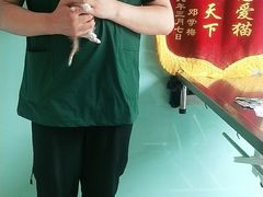 -高德24h动物医院