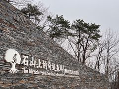 -北京西山国家森林公园