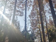 -和平官邸·花园餐厅(武定西路店)