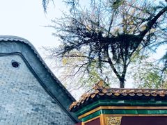 -北京国子监胡同