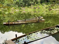 -深圳仙湖植物园