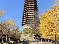 -玲珑塔公园