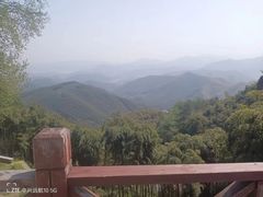 -莫干山风景区