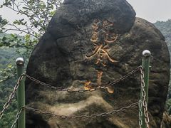 -南山植物园