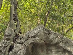 -杭州西湖风景名胜区-三生石