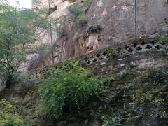 -藏山旅游风景区