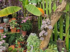 -桂林市花鸟市场