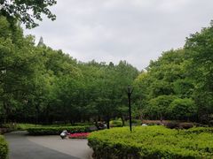 -徐家汇源景区-衡山公园