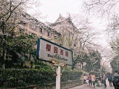 -武汉大学-樱园