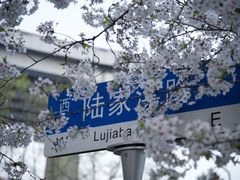 -上海南浦大桥长途旅游客运站