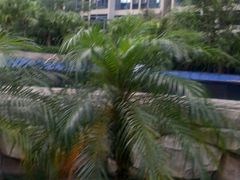 小户型大花园，地铁口可租可售-维也纳酒店(深圳大学城店)