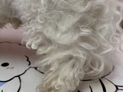 -FAELING PETS美天灵宠物(合生汇店)