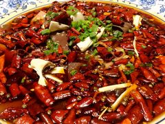 -院8里·少城记忆老川菜(宽窄巷子店)