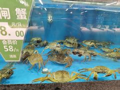 -宝燕海货工场(长江国际店)