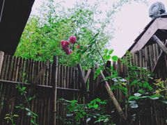 -花水湾红太阳牛肉汤锅