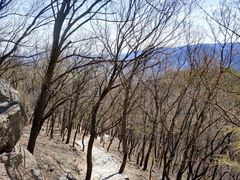 -北京鹫峰国家森林公园