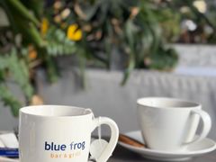 -bluefrog蓝蛙(皇庭广场店)
